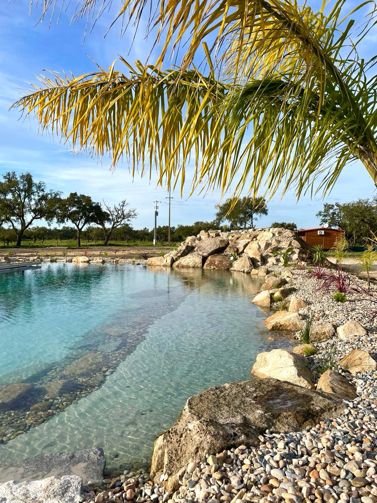    Criação de Piscinas Naturais, Praias, Lagos Ornamentais, Paisagismo e Decks.
                         Tudo o que precisa para para ter o seu verdadeiro Oásis!